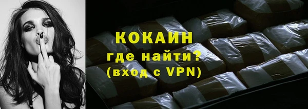 крисы Бородино