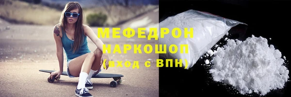 крисы Бородино