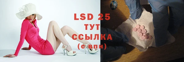 крисы Бородино