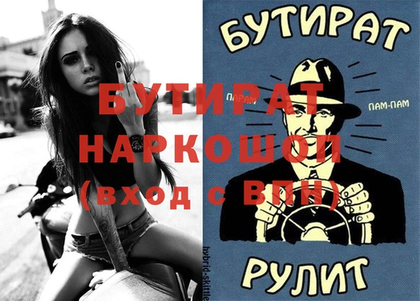 крисы Бородино