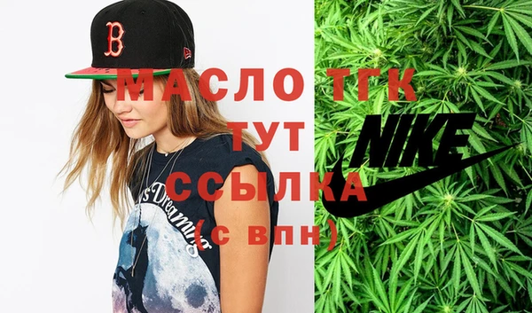 крисы Бородино