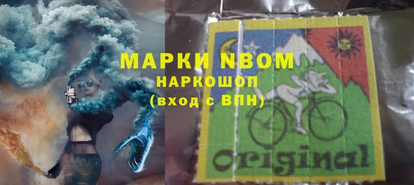 крисы Бородино