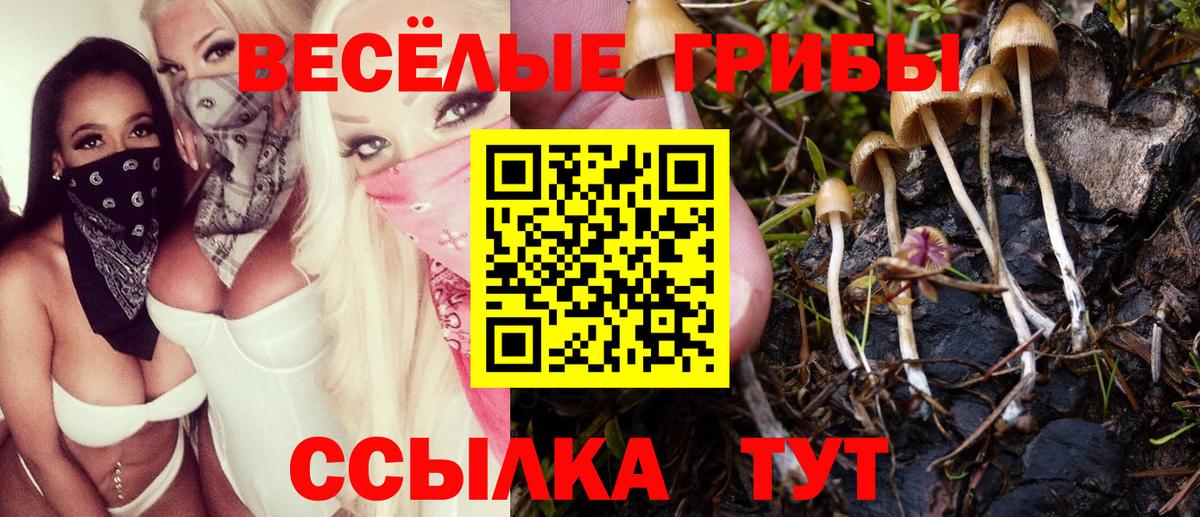 Галлюциногенные грибы прущие грибы Воркута